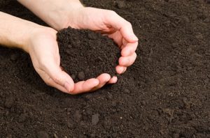 Topsoil Delivery