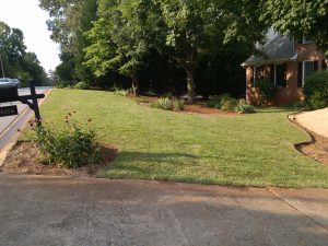 Zoysia Grass Installation