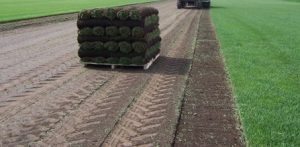 Atlanta Sod Farm 