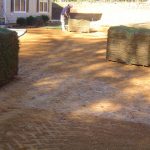 Atlanta Sod