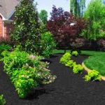 Buy Mulch Near Me