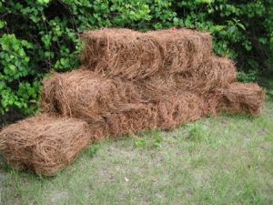 Pine Straw Bales