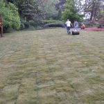 Planting Sod