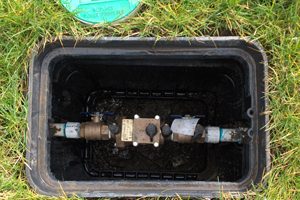 backflow device